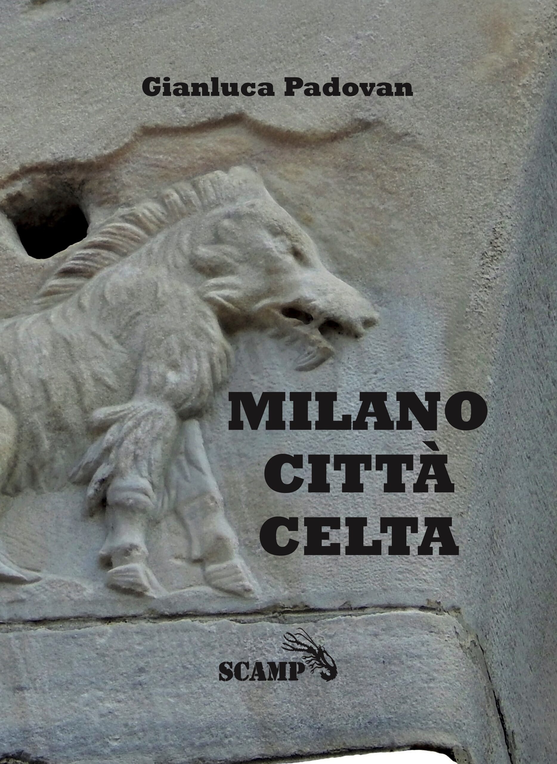 prima di copertina del libro Milano Città CeltaOrdinabile su AMAZON